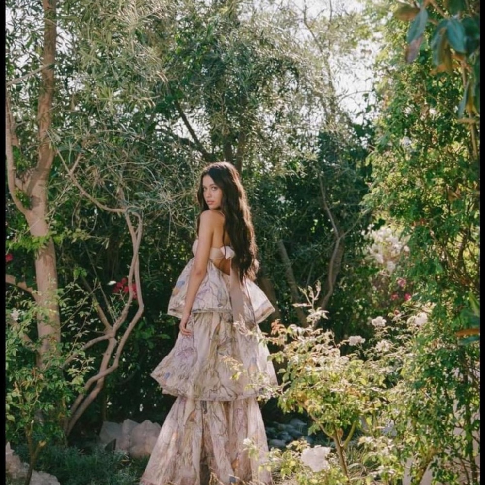 Zimmermann Candescent Parakeets Gown size 2 - Picture 2 of 6
